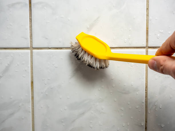 Best Toxic Mold Removal  in Lemont, PA