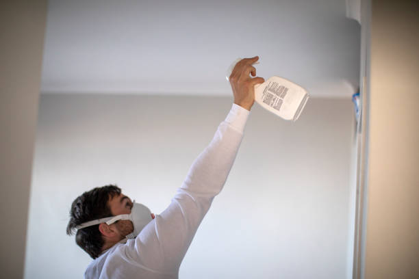 Professional Mold Removal in Lemont, PA