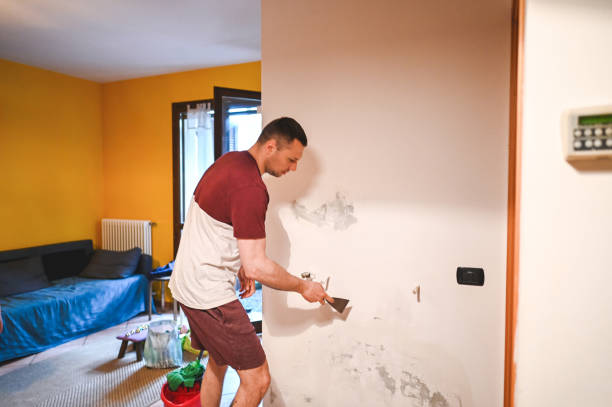 Best Home Mold Removal  in Lemont, PA