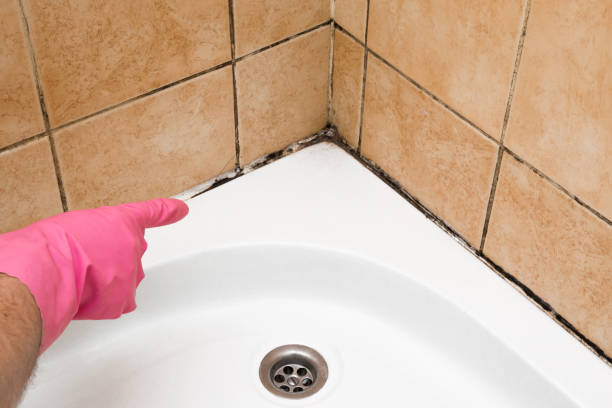 Best Office Mold Removal Services  in Lemont, PA